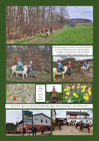 Reiten in Schweighausen am Reit- und Fahrstall Ponyhof Ludwig