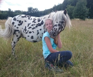 Kindergeburtstag am Reit- und Fahrstall Ponyhof Ludwig
