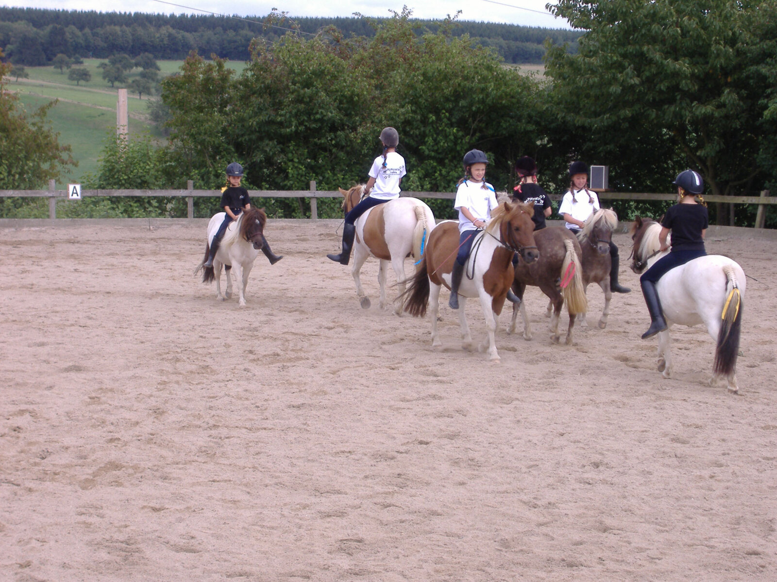 Reiten für Anfänger und Fortgeschrittene am Ponyhof Ludwig