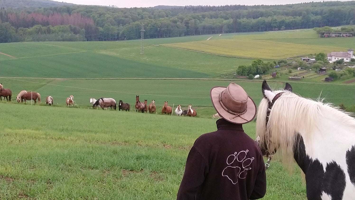 Wanderausflug organisiert vom Ponyhof Ludwig