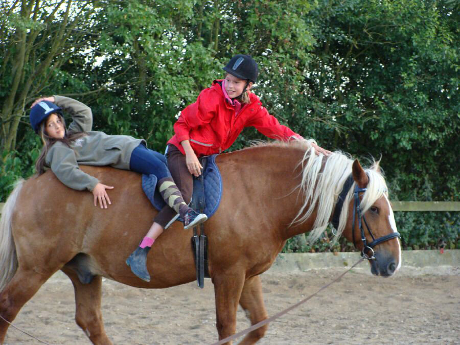 Reiten am Ponyhof Ludwig