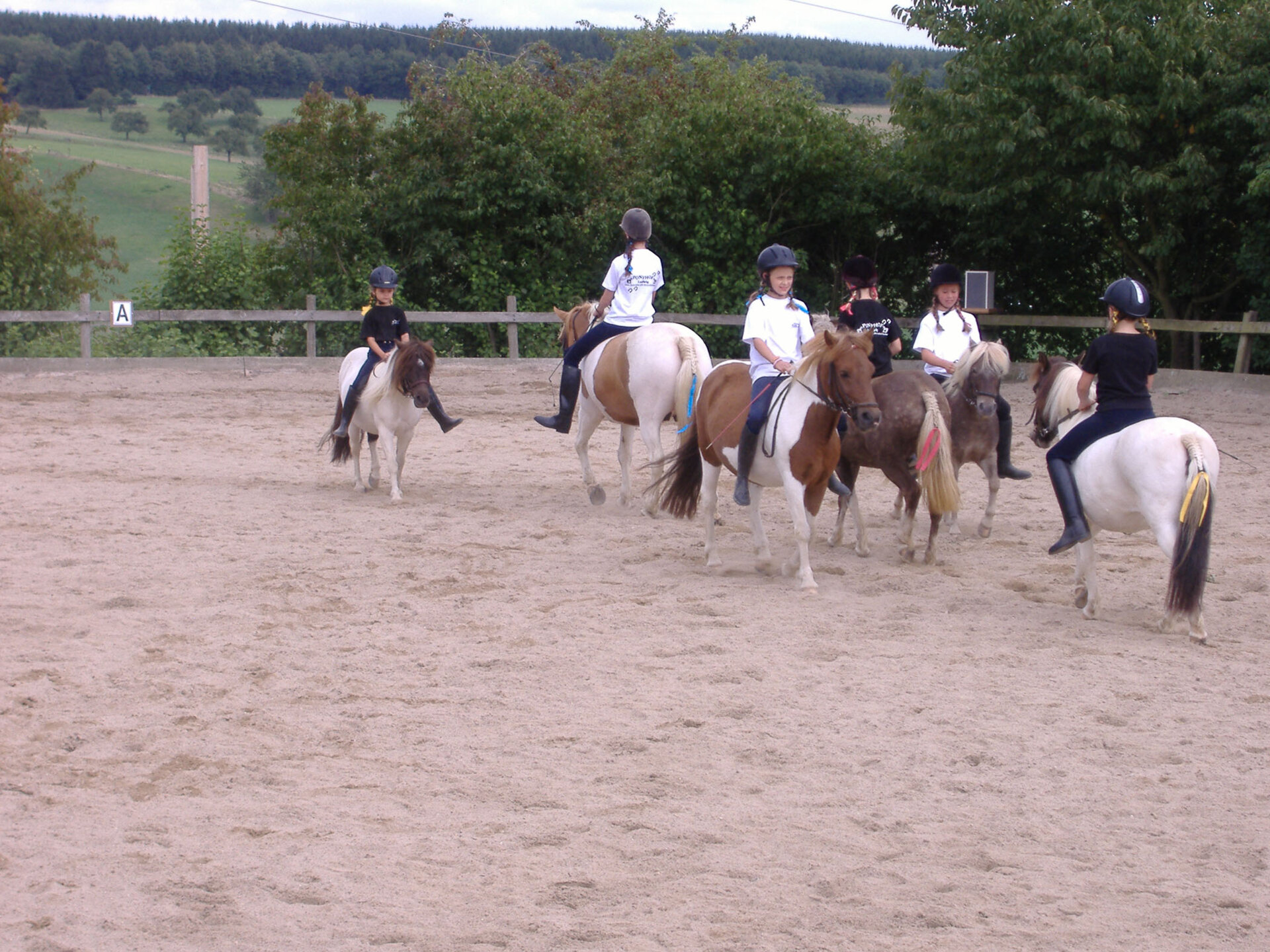Reit und fahrstall ponyhof ludwig schweighausen reitferien